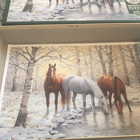 Cobble Hill 1000 Piece 🧩 Winter Tri Horses 🐴 - Picture 4 of 5